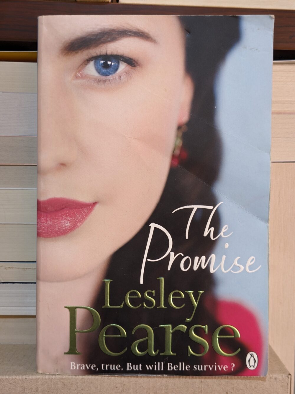 The Promise By Lesley Pearse