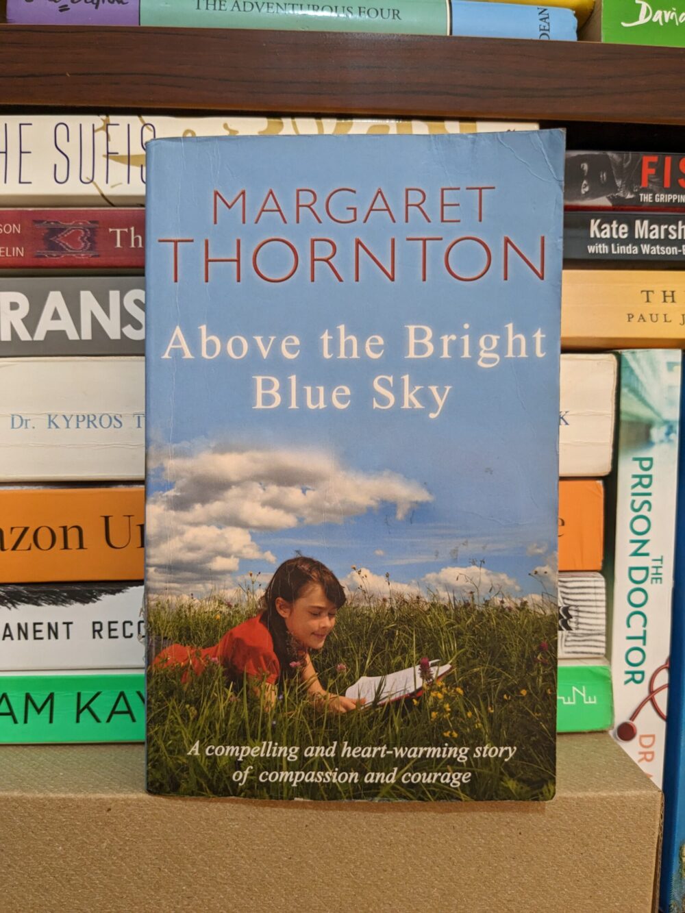 Above The Bright Blue Sky By Margaret Thornton