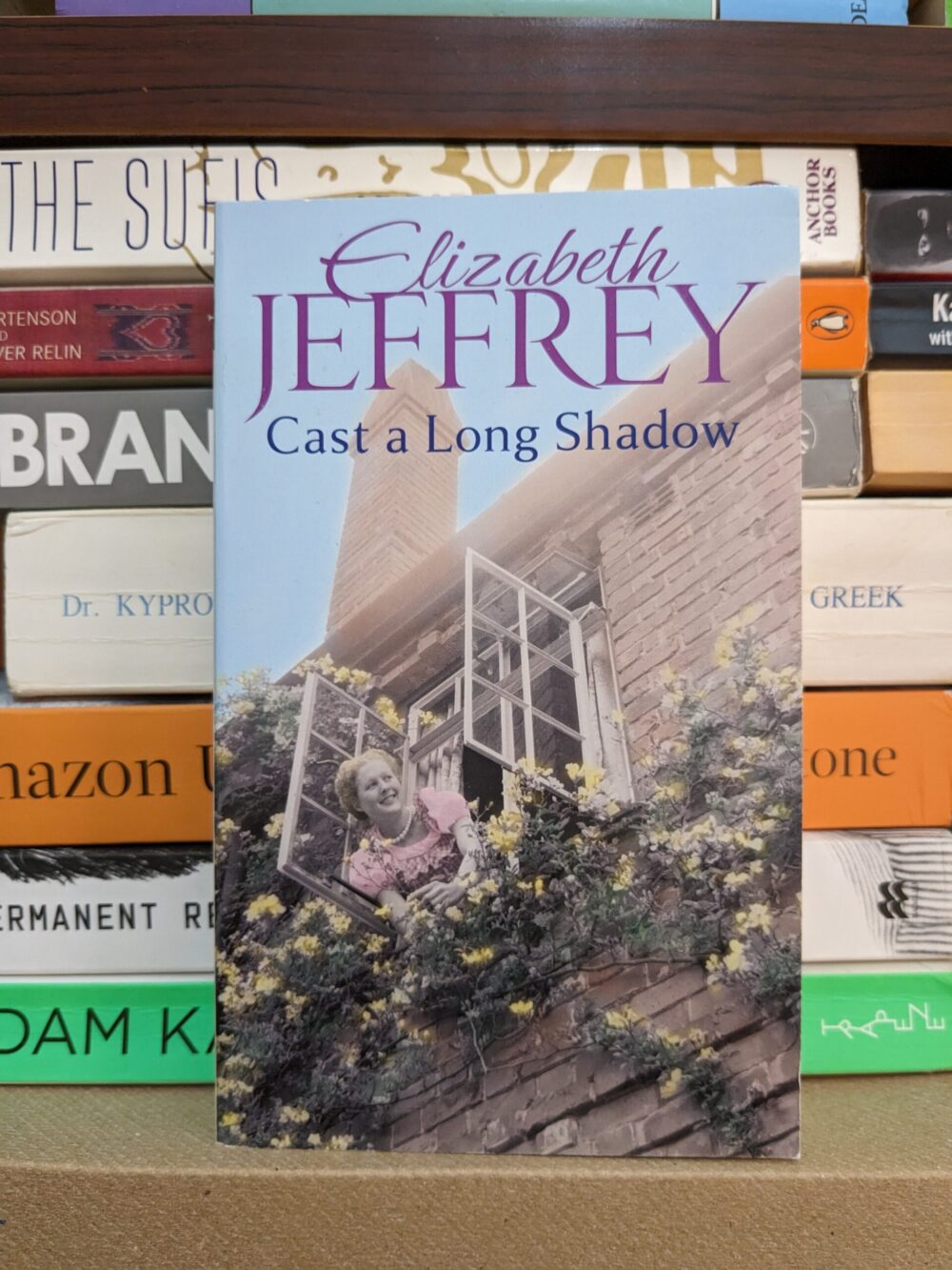Cast a Long Shadow By Elizabeth Jeffrey
