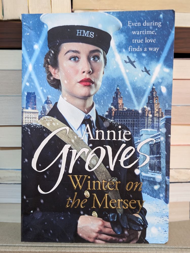 Winter on the Mersey By ANNIE GROVES