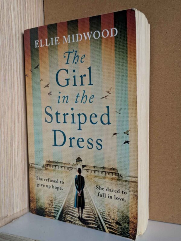 The Girl in the Striped Dress (Women and the Holocaust #3 ) by Ellie Midwood