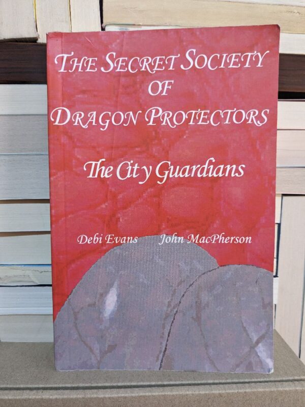 The city guardians By Evans, Debi