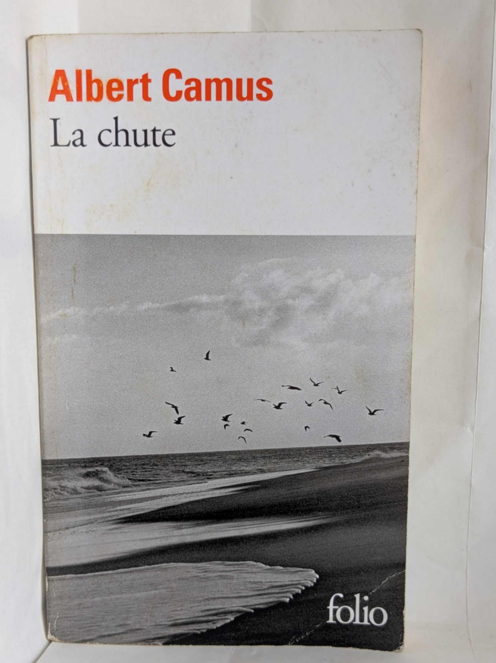 La chute par Albert Camus