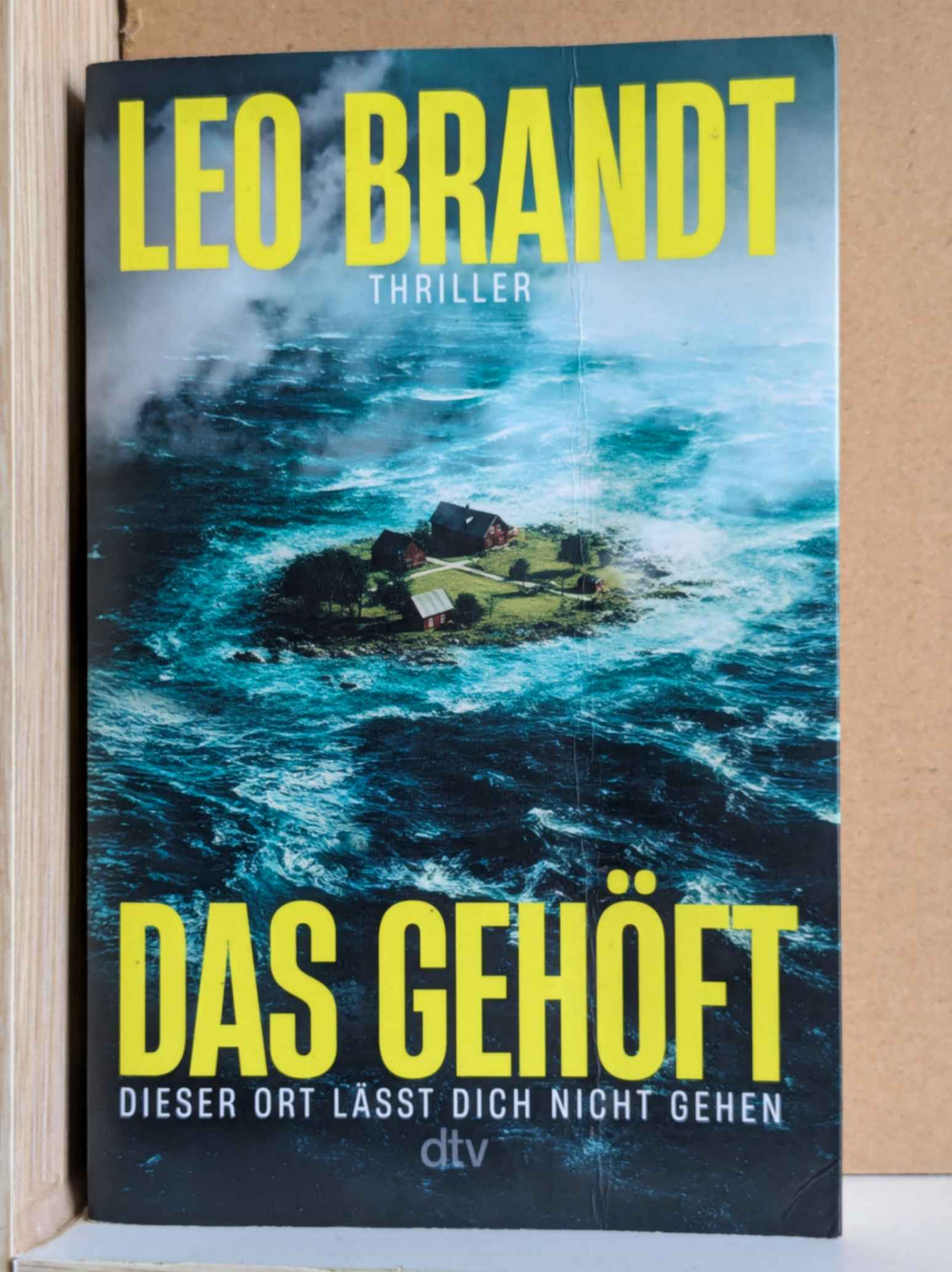Das Gehöft by Leo Brandt