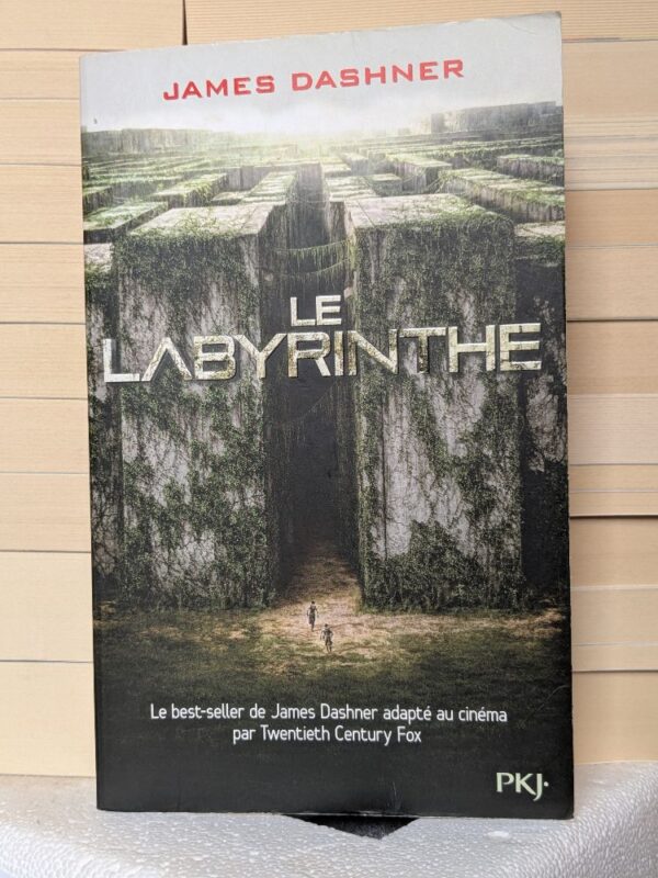 Le Labyrinthe (The Maze Runner #1) par James Dashner