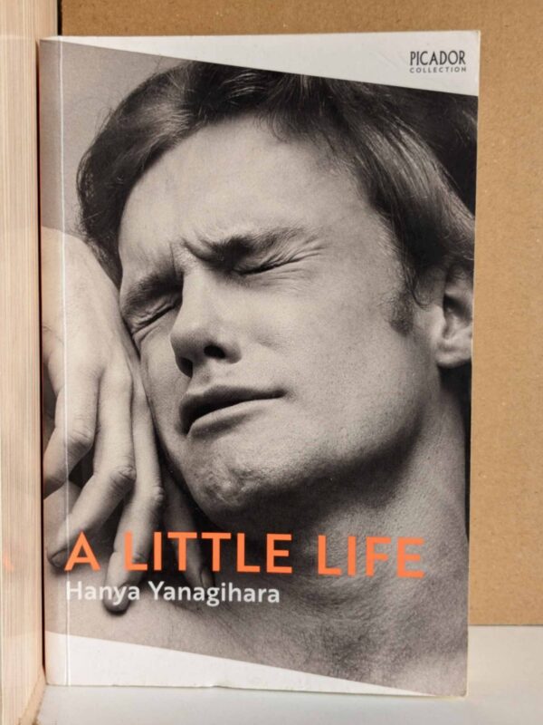 A Little Life by Hanya Yanagihara (heavily annotated)