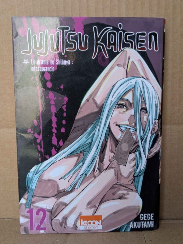 Jujutsu Kaisen, Tome 12 par Gege Akutami