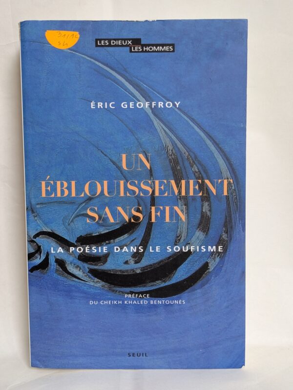 Un éblouissement sans fin par Eric Geoffroy