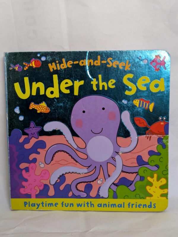 Hide and Seek: Under the Sea