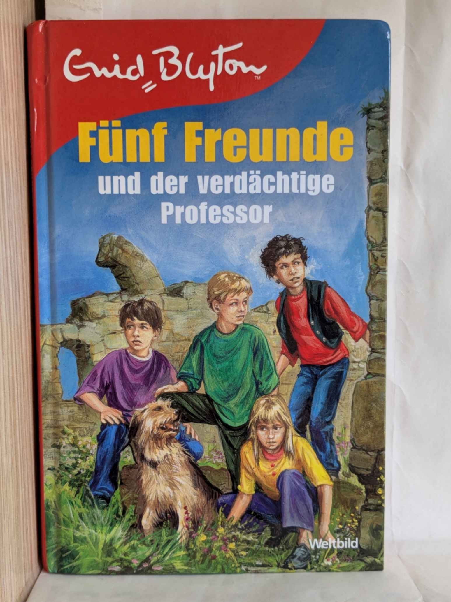 Fünf Freunde und der verdächtige Professor ( Enid Blyton)