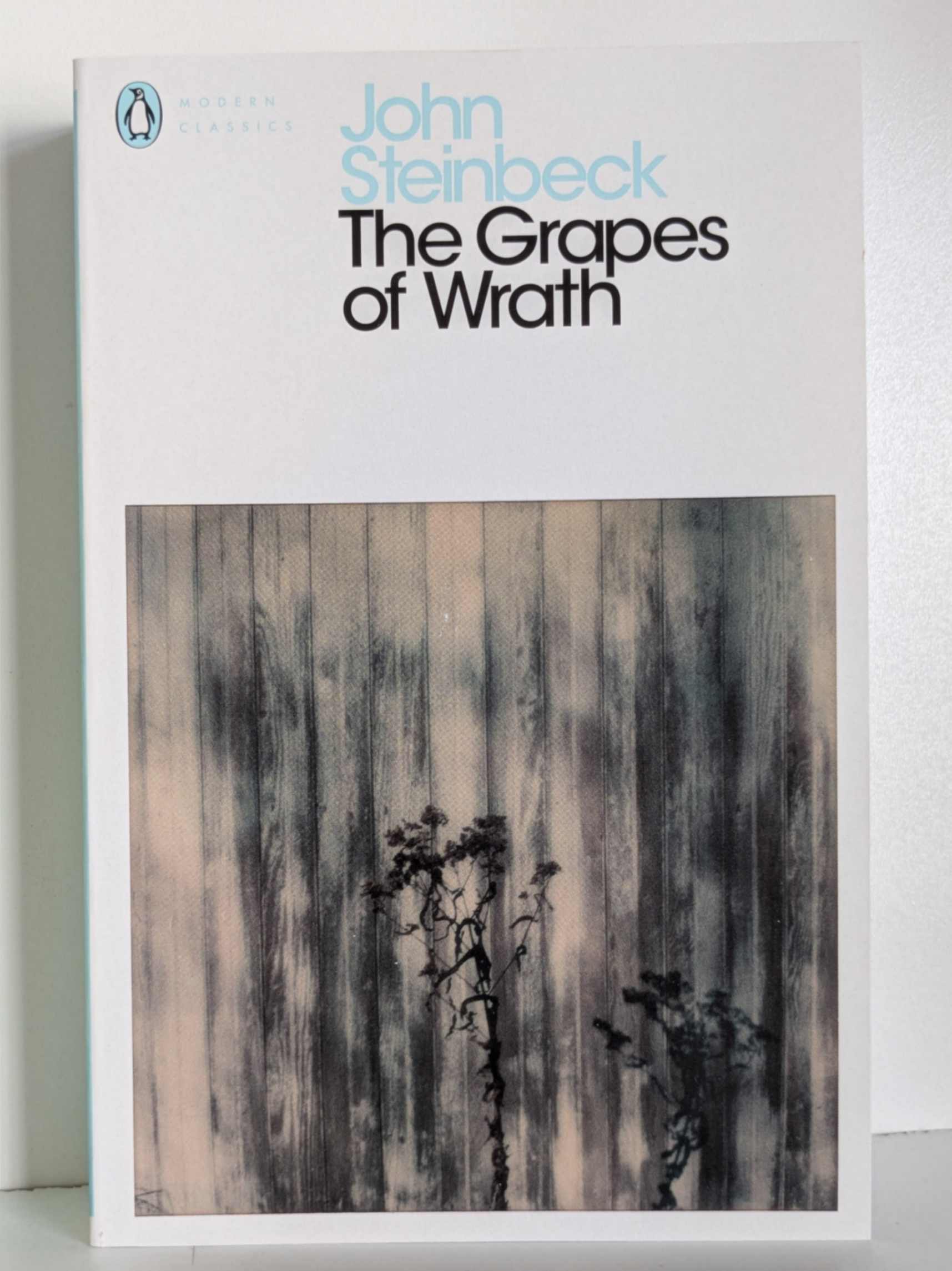 The Grapes of Wrath by John Steinbeck