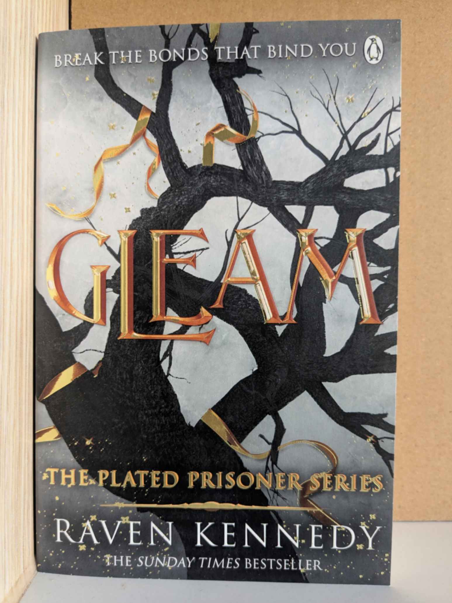 Gleam (The Plated Prisoner #3) by Raven Kennedy