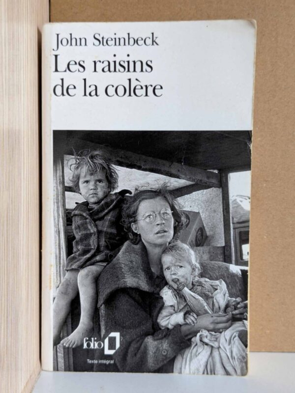 Les Raisins de la colère par John Steinbeck